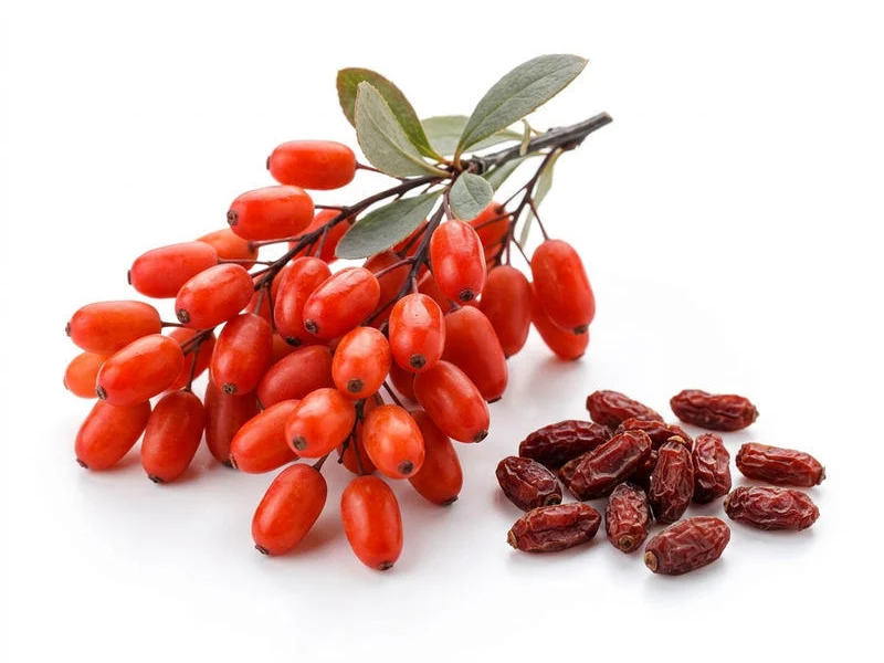 Składnik VitaCardio Plus: Korzeń berberysu (Berberis vulgaris, ekstrakt)